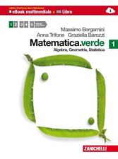matematica verde vol 1 usato  Napoli