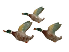 pottery flying ducks for sale  RUGBY