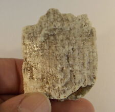 Tremolite wollastonite crystal for sale  Bisbee