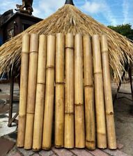Meter bambusstange bambusrohre gebraucht kaufen  Glees, Wassenach, Wehr