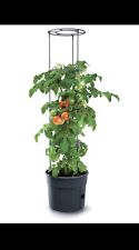 Tomatenpflanze pflanzkübel pf gebraucht kaufen  Trausnitz