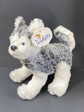 Siberian husky wolf for sale  Cedarville