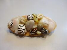 Vtg tiny seashells for sale  Fallston