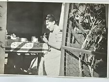  woman in a summer gazebo drinking tea.vintage photo.√2 for sale  Shipping to South Africa