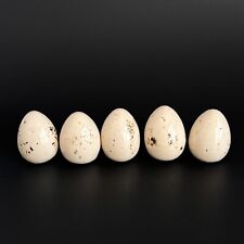 5 huevos de codorniz moteados de cerámica vintage para manualidades o decoración cottagecore rústico segunda mano  Embacar hacia Argentina