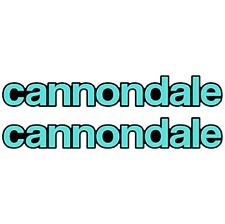 Cannondale scalpel carbon usato  Castel San Giovanni
