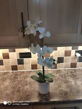 Artificial orchid plant for sale  BRISTOL