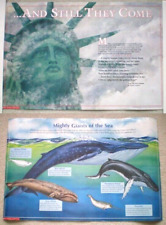 Laminated classroom poster for sale  Cape Coral