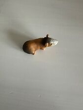 Guinea pig schliech for sale  YORK