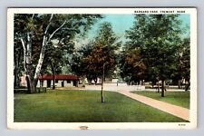 Fremont NE-Nebraska, Barnard Park, Antique, Vintage Souvenir Postcard for sale  Shipping to South Africa