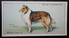 Rough collie vintage for sale  Shipping to Ireland