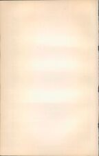 Holzschnitt holzstich 1903 gebraucht kaufen  Sibbesse