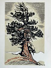 François Louis Schmied Gravure sur bois woodcut Arbre Cèdre Du Liban Art Deco na sprzedaż  Wysyłka do Poland