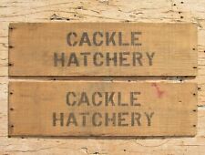 Vintage cackle hatchery for sale  Phillipsburg