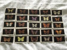 British butterflies abdulla for sale  HASTINGS