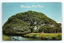 Honolulu hawaii monkey for sale  Great Falls