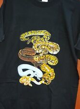 Royal python snake for sale  YORK