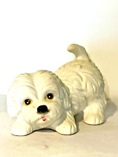 white maltipoo puppy for sale  Lexington Park