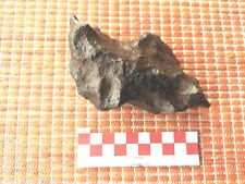 Meteorite eisenmeteorit canyon gebraucht kaufen  Biedenkopf