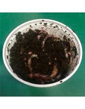 Tiger earth worms for sale  Shipping to Ireland