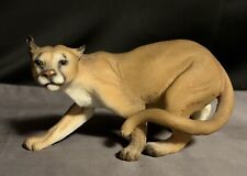 Mountain lion cougar for sale  Denver