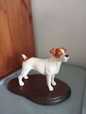 Jack russell dog for sale  CROOK