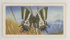 1964 Brooke Bond Butterflies of the World Teinopalpus imperialis #9 0e3, used for sale  Shipping to South Africa