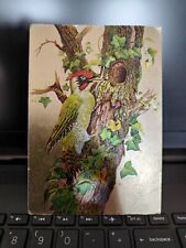 Green woodpecker postcard for sale  SPALDING