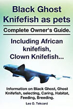 Black ghost knifefish for sale  Mishawaka