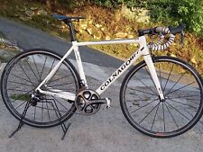 Colnago ferrari shimano usato  Anagni