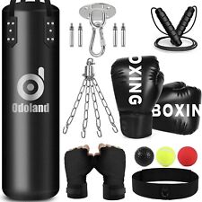 Punching bag unfilled for sale  Vienna