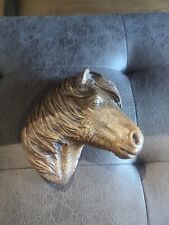 Beautiful horse head for sale  AYLESFORD