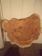 Giant yew slice for sale  IPSWICH
