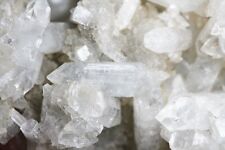 Clear apophyllite crystal for sale  WASHINGTON