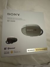 Sony 1000x usato  Ferrara