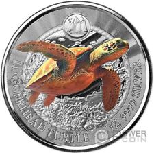 Tartaruga loggerhead moneta usato  Ciampino
