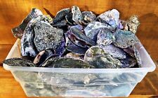Abalone pieces pounds for sale  Clayton