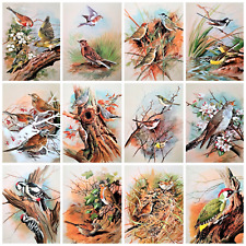 Bird prints. collection for sale  NELSON