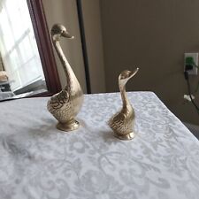 pair geese for sale  Huntsville