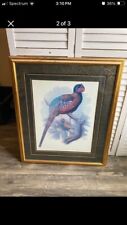 Audubon pheasant print for sale  Union