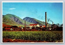 Postcard hawaii sugar for sale  Fulton