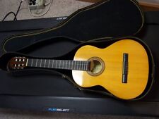 guitar amigo case for sale  Hampshire