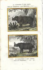 Stampa antica rinoceronte usato  Lecco