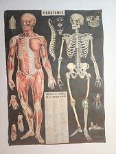 Vintage cram anatomical for sale  Yakima