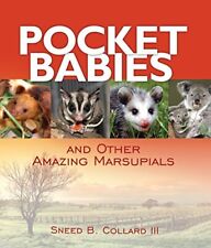 Pocket babies amazing for sale  UK
