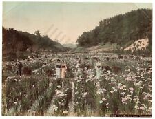Japan antique photo d'occasion  Lille-