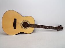 Telluride acoustic guitar for sale  Appleton