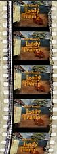Lady tramp 35mm for sale  LINCOLN