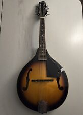 Savannah 110 mandolin for sale  New Ipswich