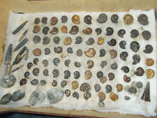 Ammonites lot ammonites d'occasion  Rioz